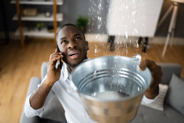 Best Professional water damage repair  in Milam, TX
