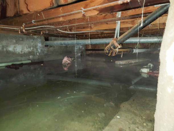 Best Residential water damage restoration  in Milam, TX