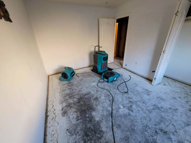 Trusted Milam, TX Water damage restoration Experts