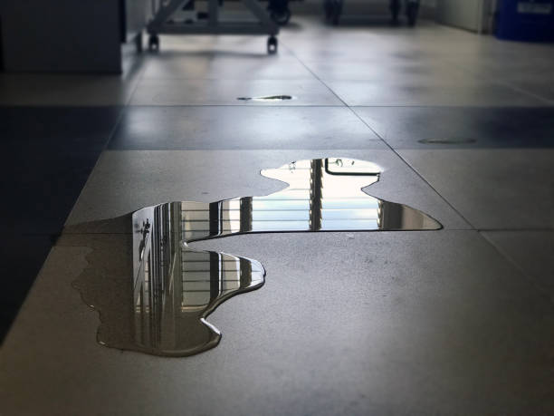 Best Water damage cleanup near me  in Milam, TX