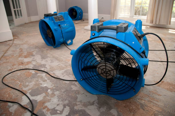 Best Local water damage restoration  in Milam, TX