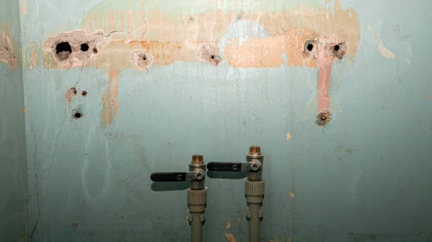 Best Professional water damage repair  in Milam, TX