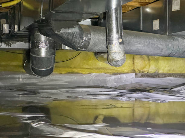 Best Flood restoration services  in Milam, TX