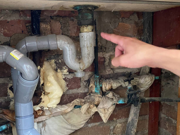  Milam, TX Water damage restoration Pros