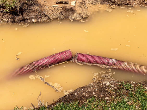 Best Water damage restoration near me  in Milam, TX