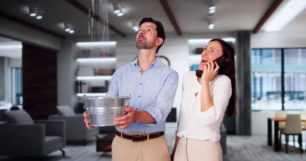Best Carpet water damage restoration  in Milam, TX