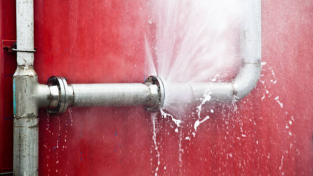 Best Water damage repair service  in Milam, TX