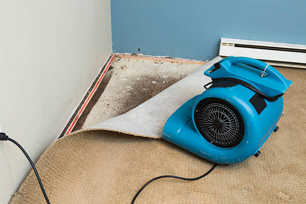Best Water damage restoration near me  in Milam, TX